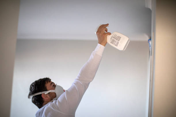 Best Commercial Mold Remediation in Wills Point, TX