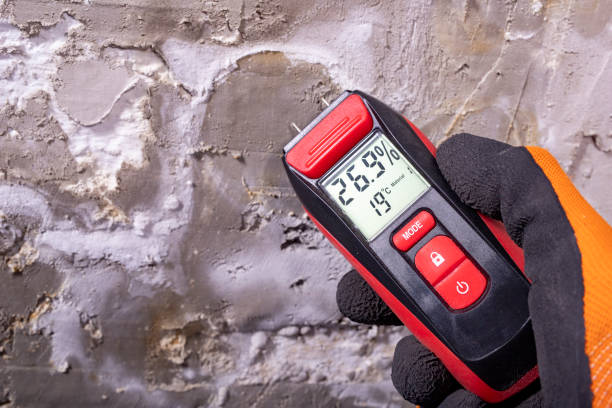 Best Post-Remediation Services in Wills Point, TX