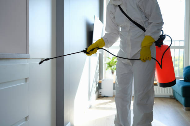 Best Health and Safety Mold Remediation in Wills Point, TX